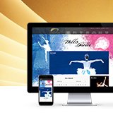 广州国际舞蹈中心网站设计开发